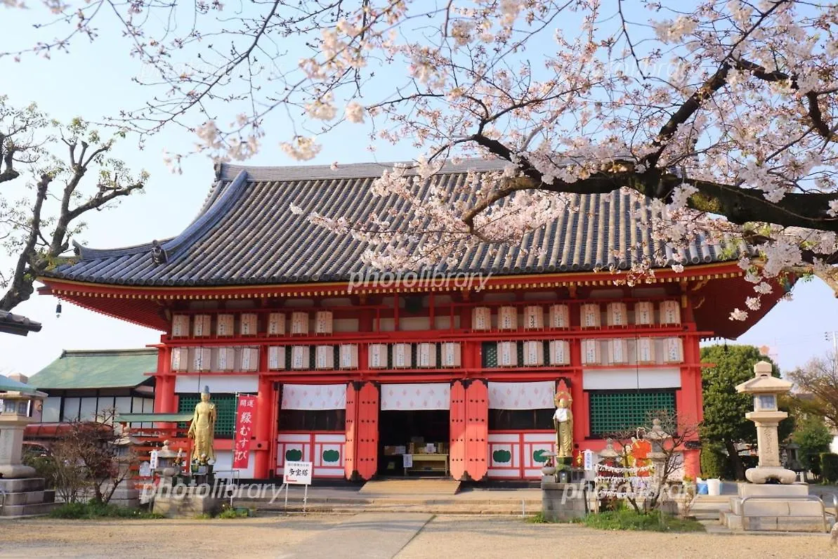 別荘 Osaka Shinimamiya Hanazonocho 6Ppl House Namba Usj Hongyh 日本